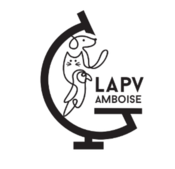 logo lapv amboise