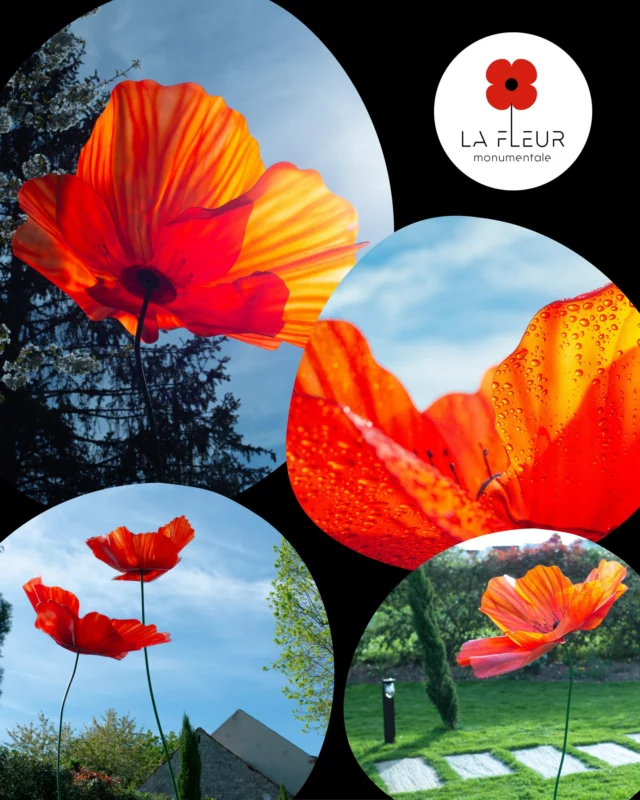 🌸✨ Nous sommes heureux de mettre à l'honneur le talent d’Alexis Boyer, artiste et créateur de @lafleurmonumentale . Ses sculptures florales géantes, poétiques et lumineuses, transforment les lieux en véritables œuvres d’art vivantes. 🎨🌺

Merci Alexis pour cette vision sensible de la nature, que l’on retrouve déjà dans des lieux prestigieux comme le Château de Cheverny ou l’hôtel Alexandra Palace.

👉 À découvrir sur : http://www.lafleurmonumentale.com